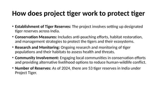 Tiger Project Statistics Tiger census, Method, Trend and criticism.pptx