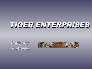 TIGER ENTERPRISES  Company Overview 