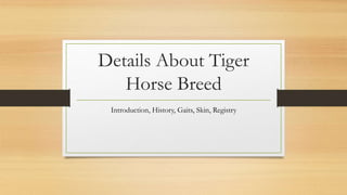 Details About Tiger
Horse Breed
Introduction, History, Gaits, Skin, Registry
 