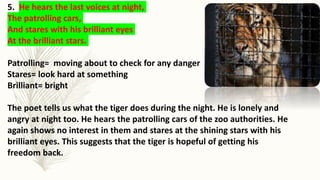 5. He hears the last voices at night,
The patrolling cars,
And stares with his brilliant eyes
At the brilliant stars.
Patrolling= moving about to check for any danger
Stares= look hard at something
Brilliant= bright
The poet tells us what the tiger does during the night. He is lonely and
angry at night too. He hears the patrolling cars of the zoo authorities. He
again shows no interest in them and stares at the shining stars with his
brilliant eyes. This suggests that the tiger is hopeful of getting his
freedom back.
 