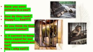  Have you seen
animals in a zoo?
 How do they look?
 Happy?.... Sad???
 Do you think its their
natural habitat?
 Is it correct to keep
them caged for our
own amusement and
fun?
 Why / why not??
 