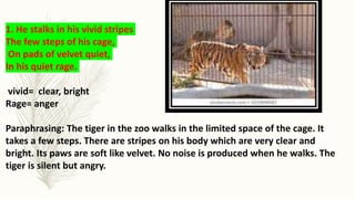 1. He stalks in his vivid stripes
The few steps of his cage,
On pads of velvet quiet,
In his quiet rage.
vivid= clear, bright
Rage= anger
Paraphrasing: The tiger in the zoo walks in the limited space of the cage. It
takes a few steps. There are stripes on his body which are very clear and
bright. Its paws are soft like velvet. No noise is produced when he walks. The
tiger is silent but angry.
 