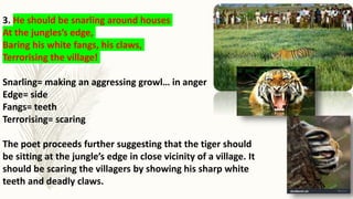 3. He should be snarling around houses
At the jungles’s edge,
Baring his white fangs, his claws,
Terrorising the village!
Snarling= making an aggressing growl… in anger
Edge= side
Fangs= teeth
Terrorising= scaring
The poet proceeds further suggesting that the tiger should
be sitting at the jungle’s edge in close vicinity of a village. It
should be scaring the villagers by showing his sharp white
teeth and deadly claws.
 