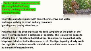 4. But he’s locked in a concrete cell
His strength behind bars,
Stalking the length of his cage,
Ignoring visitors.
Concrete= a mixture made with cement, and , grave and water
stalking-= walking in proud and angry manner
Ignoring= not paying attention to
Paraphrasing: The poet expresses his deep sympathy at the plight of the
tiger. It is imprisoned in a cell made of concrete. This is quite the opposite
of being free in his natural habitat. A tiger is a powerful animal but sadly
his power is locked inside the concrete cell. The tiger is pacing slowly inside
the cage. He is not interested in the visitors who have come to watch him
as a means of entertainment.
 