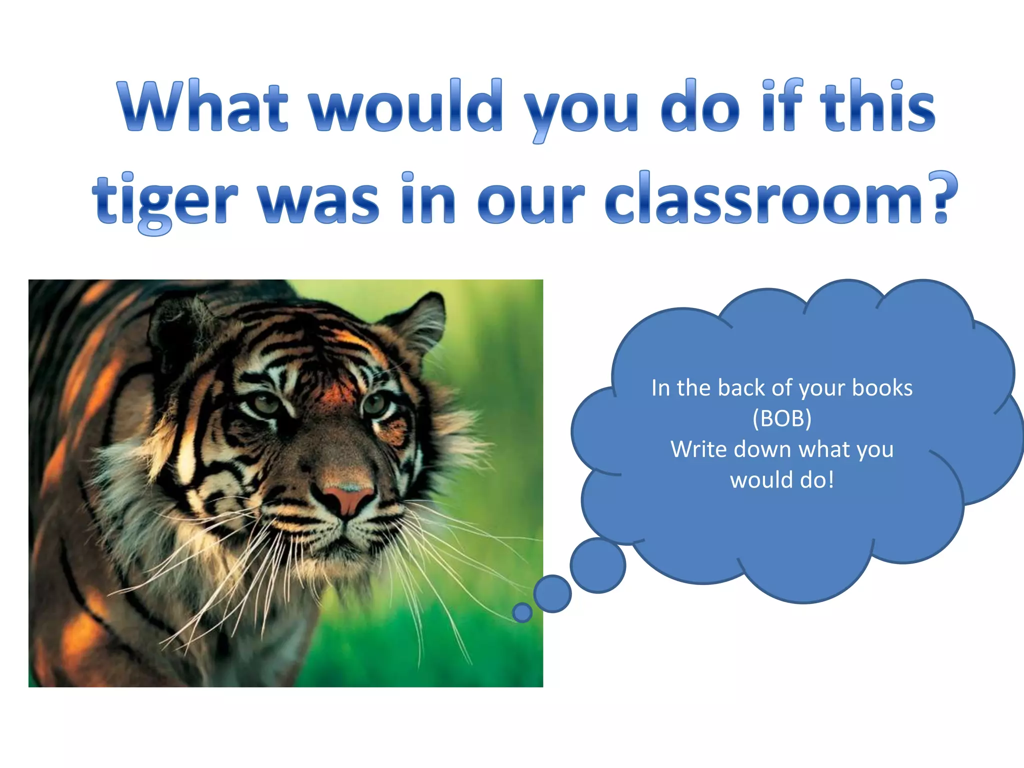 tiger-in-classroom-scenario-ppt