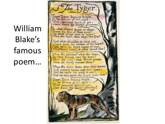 an analysis of william blakess poem the tyger Analysis of the tyger by william blake written by: trent lorcher • edited by: sforsyth • updated: 1/17/2012 this analysis of the tyger by william blake looks at. an analysis of william blakess poem the tyger Analysis of the tyger by william blake written by: trent lorcher • edited by: sforsyth • updated: 1/17/2012 this analysis of the tyger by william blake looks at.