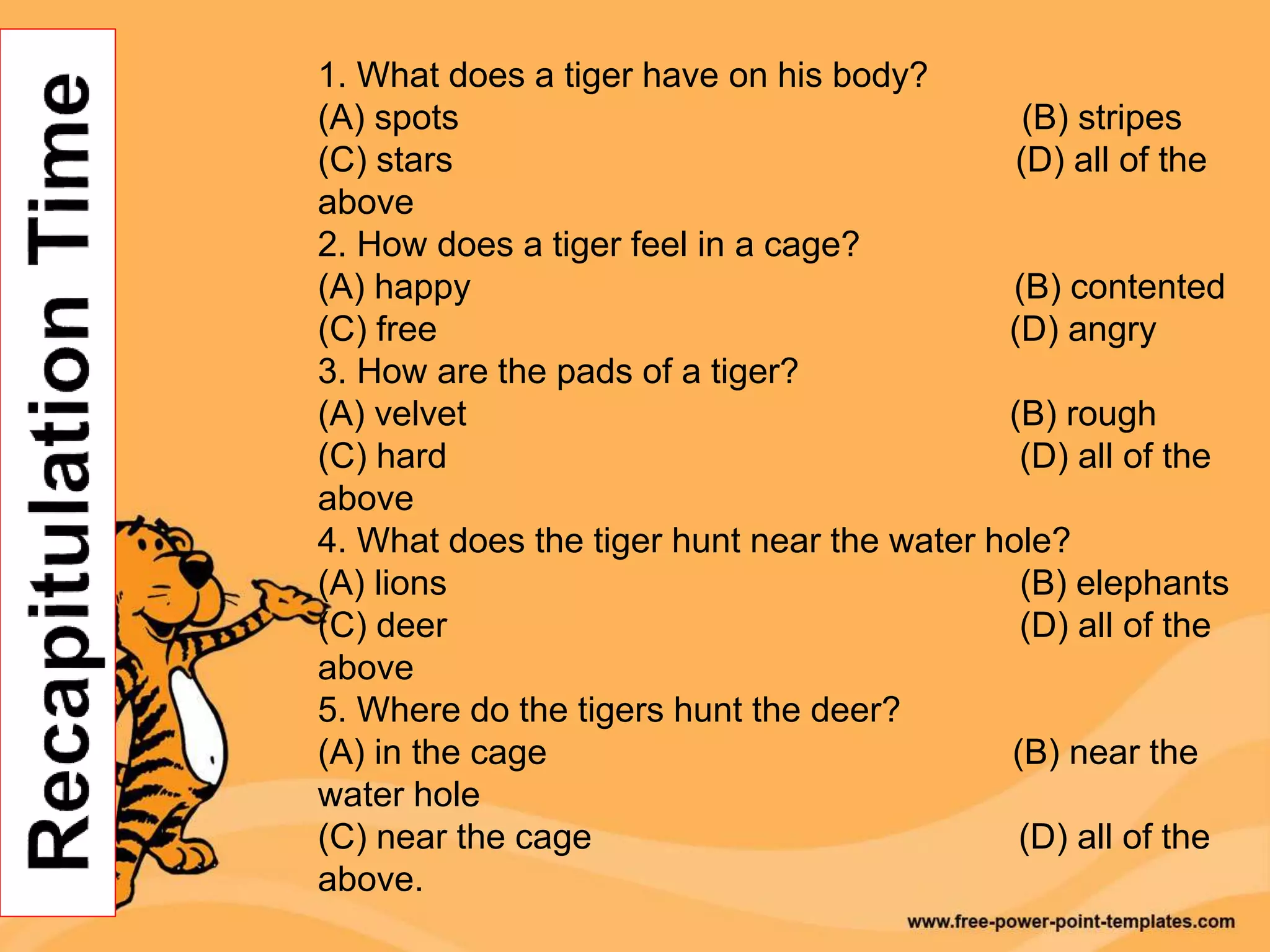 1. What does a tiger have on his body?
(A) spots (B) stripes
(C) stars (D) all of the
above
2. How does a tiger feel in a cage?
(A) happy (B) contented
(C) free (D) angry
3. How are the pads of a tiger?
(A) velvet (B) rough
(C) hard (D) all of the
above
4. What does the tiger hunt near the water hole?
(A) lions (B) elephants
(C) deer (D) all of the
above
5. Where do the tigers hunt the deer?
(A) in the cage (B) near the
water hole
(C) near the cage (D) all of the
above.
 