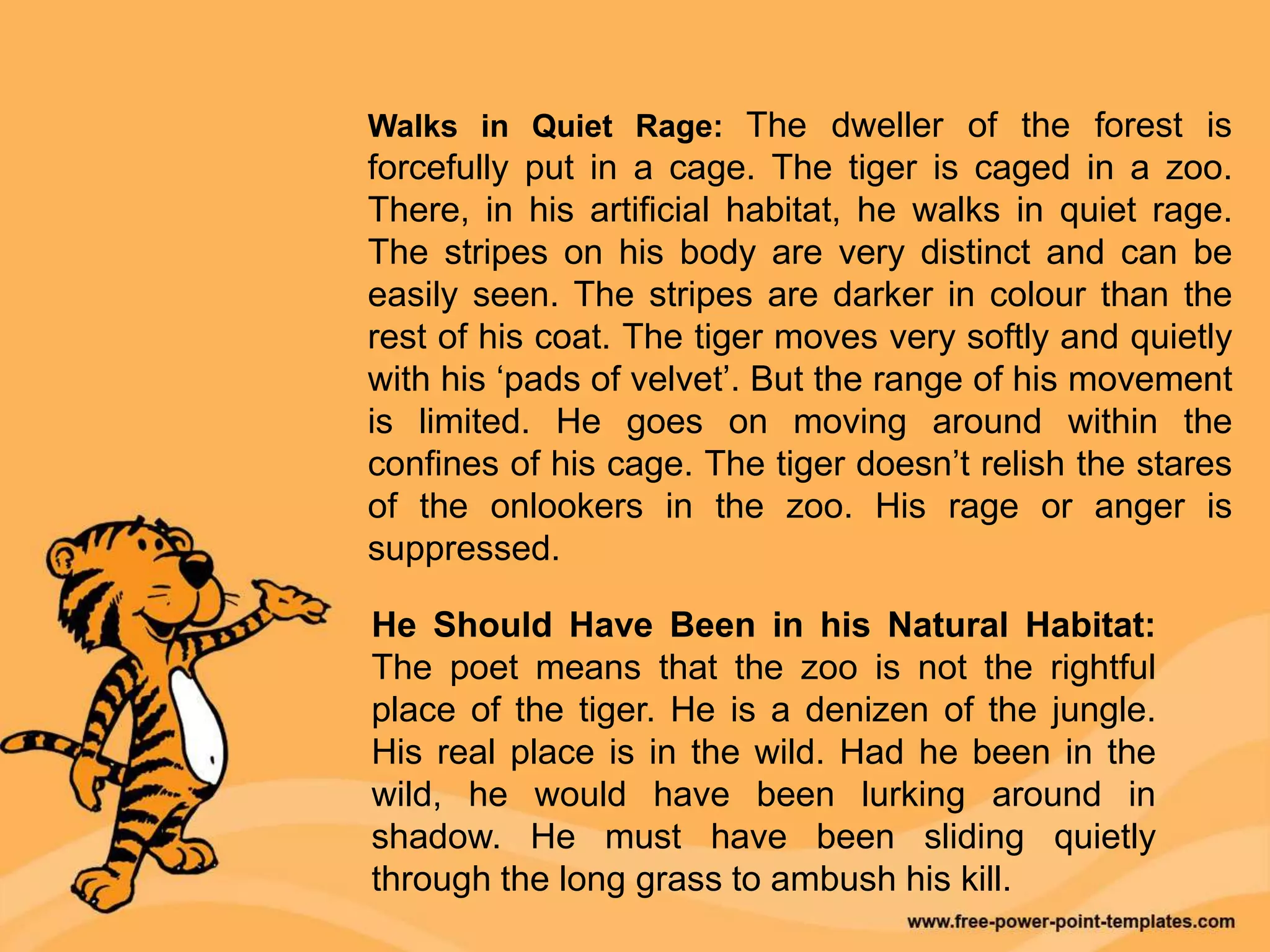 Walks in Quiet Rage: The dweller of the forest is
forcefully put in a cage. The tiger is caged in a zoo.
There, in his artificial habitat, he walks in quiet rage.
The stripes on his body are very distinct and can be
easily seen. The stripes are darker in colour than the
rest of his coat. The tiger moves very softly and quietly
with his ‘pads of velvet’. But the range of his movement
is limited. He goes on moving around within the
confines of his cage. The tiger doesn’t relish the stares
of the onlookers in the zoo. His rage or anger is
suppressed.
He Should Have Been in his Natural Habitat:
The poet means that the zoo is not the rightful
place of the tiger. He is a denizen of the jungle.
His real place is in the wild. Had he been in the
wild, he would have been lurking around in
shadow. He must have been sliding quietly
through the long grass to ambush his kill.
 