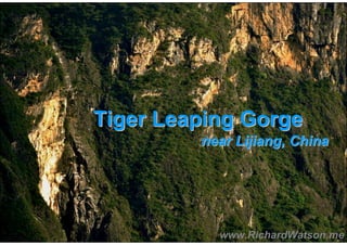 Tiger Leaping Gorge
         near Lijiang, China




           www.RichardWatson.me
 