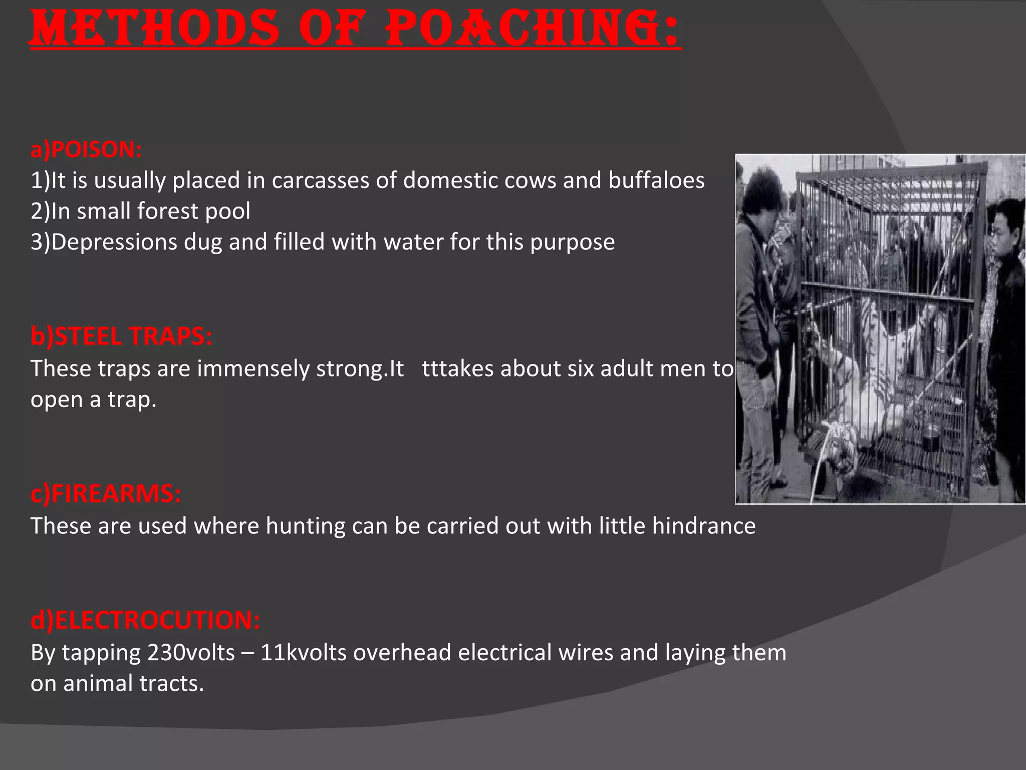 METHODS OF POACHING: a)POISON: 1)It is usually placed in carcasses of domestic cows and buffaloes  2)In small forest pool 3)Depressions dug and filled with water for this purpose b)STEEL TRAPS: These traps are immensely strong.It  tttakes about six adult men to  open a trap. c)FIREARMS: These are used where hunting can be carried out with little hindrance d)ELECTROCUTION: By tapping 230volts – 11kvolts overhead electrical wires and laying them  on animal tracts. 