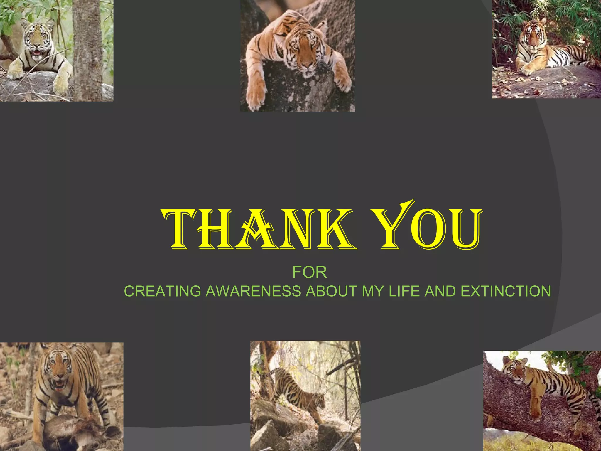 THANK YOU FOR  CREATING AWARENESS ABOUT MY LIFE AND EXTINCTION 