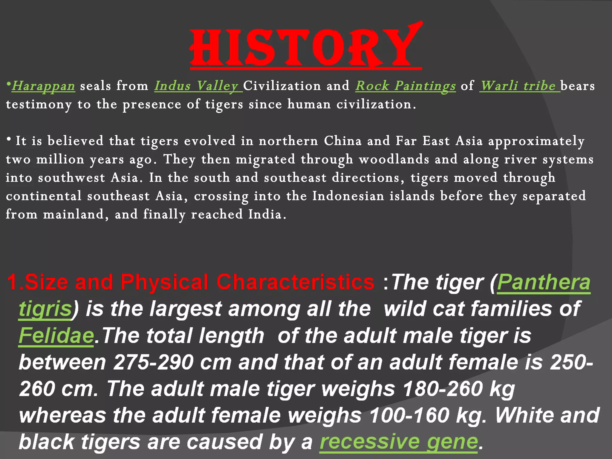 HISTORY Harappan   seals from  Indus Valley  Civilization and  Rock Paintings   of  Warli tribe  bears testimony to the presence of tigers since human civilization. It is believed that tigers evolved in northern China and Far East Asia approximately two million years ago. They then migrated through woodlands and along river systems into southwest Asia. In the south and southeast directions, tigers moved through continental southeast Asia, crossing into the Indonesian islands before they separated from mainland, and finally reached India. 