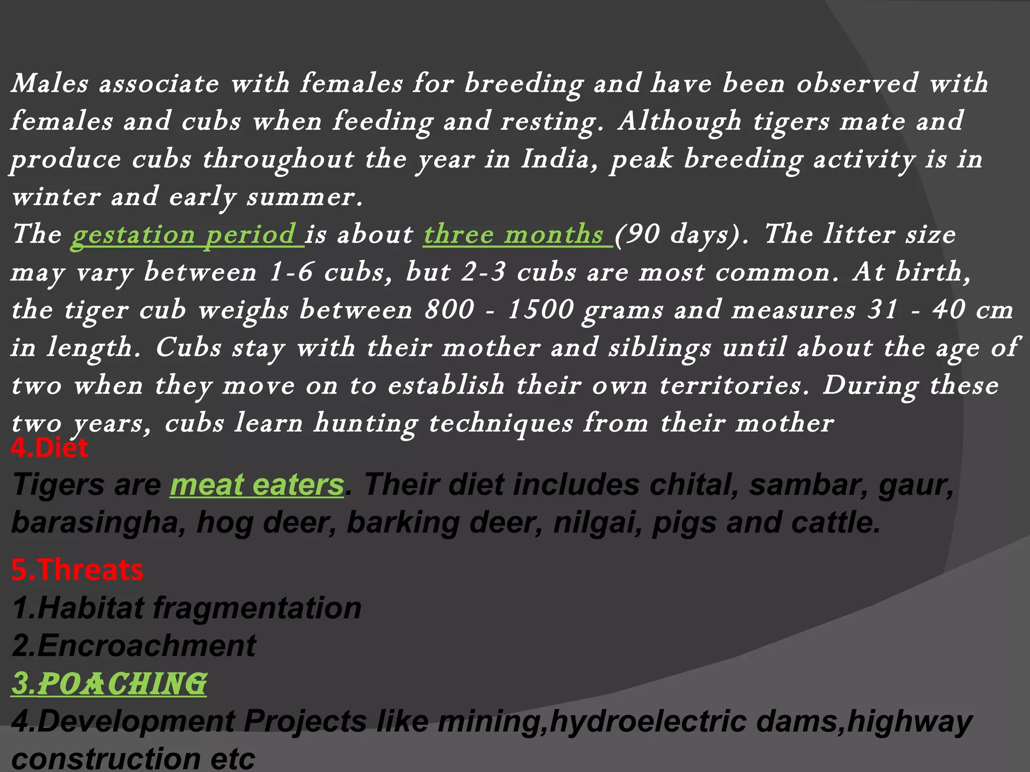 Males associate with females for breeding and have been observed with females and cubs when feeding and resting. Although tigers mate and produce cubs throughout the year in India, peak breeding activity is in winter and early summer.  The  gestation period  is about  three months  (90 days). The litter size may vary between 1-6 cubs, but 2-3 cubs are most common. At birth, the tiger cub weighs between 800 - 1500 grams and measures 31 - 40 cm in length. Cubs stay with their mother and siblings until about the age of two when they move on to establish their own territories. During these two years, cubs learn hunting techniques from their mother 4.Diet Tigers are  meat eaters . Their diet includes chital, sambar, gaur, barasingha, hog deer, barking deer, nilgai, pigs and cattle. 5.Threats 1.Habitat fragmentation 2.Encroachment 3. Poaching 4.Development Projects like mining,hydroelectric dams,highway construction etc 