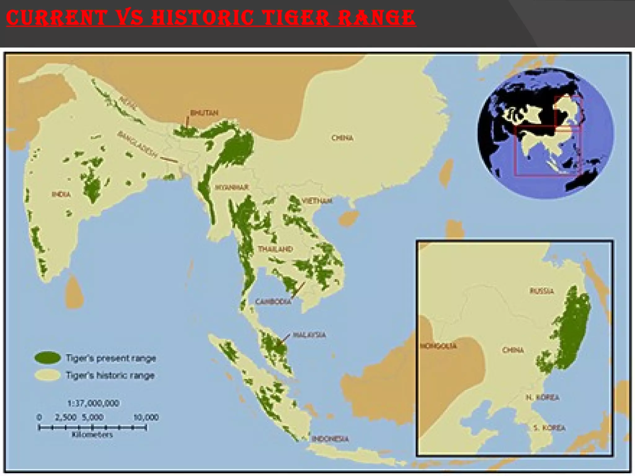 CURRENT VS HISTORIC TIGER RANGE 