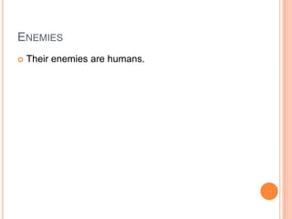EnemiesTheir enemies are humans.