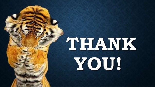 Tiger Ppt