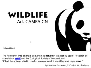 The number of wild animals on Earth has halved in the past 40 years. research by
scientists at WWF and the Zoological Society of London found.
“If half the animals died in London zoo next week it would be front page news,”
By Professor Ken Norris, ZSL’s director of science
 
