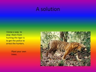 A solution I know a way to stop them from hunting the tiger is to get the police to arrest the hunters.Plant your own trees.