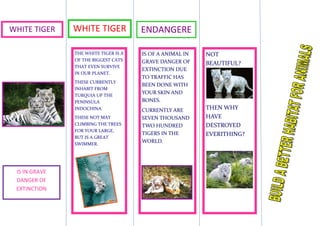 WHITE TIGERWHITE TIGERENDANGERED<br />NOT BEAUTIFUL?  THEN WHY  HAVE DESTROYED EVERITHING? IS OF A ANIMAL IN GRAVE DANGER OF EXTINCTION DUE TO TRAFFIC HAS BEEN DONE WITH YOUR SKIN AND BONES.CURRENTLY ARE SEVEN THOUSAND TWO HUNDRED TIGERS IN THE WORLD. 17862543787775THE WHITE TIGER IS A OF THE BIGGEST CATS THAT EVEN SURVIVE IN OUR PLANET.THESE CURRENTLY INHABIT FROM TURQUIA UP THE PENINSULA INDOCHINA.THESE NOT MAY  CLIMBING THE TREES FOR YOUR LARGE, BUT IS A GREAT SWIMMER. <br />599630521717038627053512820<br />-79502076200<br />IS IN GRAVE DANGER OF EXTINCTION<br />IS IN GRAVE DANGER OF EXTINCTIONIS IN GRAVE DANGER OF EXTINCTION99301302482215<br />