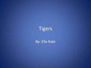 Tigers

By: Ella Kate
 