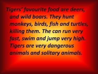 Tigers’ favourite food are deers, and wild boars. They hunt monkeys, birds, fish and turtles, killing them. The can run very fast, swim and jump very high. Tigers are very dangerous animalsand solitary animals.