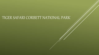 TIGER SAFARI CORBETT NATIONAL PARK
 