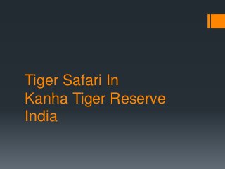 Tiger Safari In
Kanha Tiger Reserve
India
 