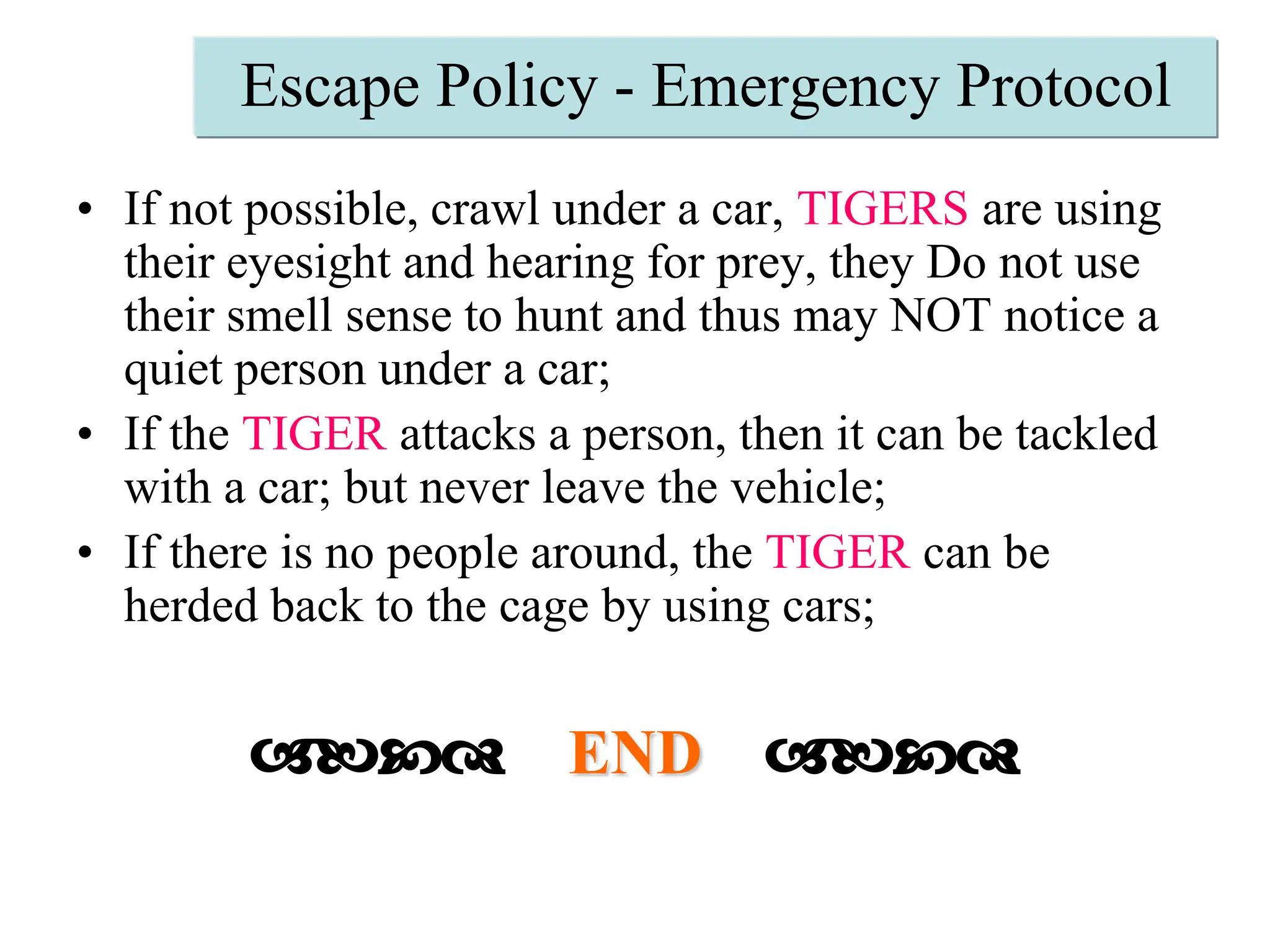 Escape Policy - Emergency ProtocolIf not possible, crawl under a car, TIGERS are using their eyesight and hearing for prey, they Do not use their smell sense to hunt and thus may NOT notice a quiet person under a car;If the TIGER attacks a person, then it can be tackled with a car; but never leave the vehicle;If there is no people around, the TIGER can be herded back to the cage by using cars;abcd END    abcd