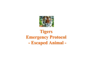Tigers  Emergency Protocol   - Escaped Animal - 