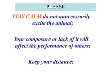PLEASESTAY CALM do not unnecessarily excite the animal; Your composure or lack of it will affect the performance of others; Keep your distance;  