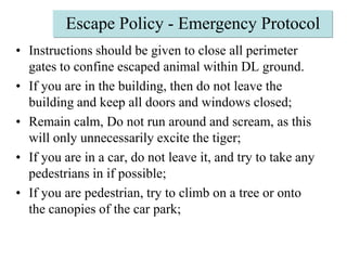 Escape Policy - Emergency ProtocolInstructions should be given to close all perimeter gates to confine escaped animal within DL ground. If you are in the building, then do not leave the building and keep all doors and windows closed;Remain calm, Do not run around and scream, as this will only unnecessarily excite the tiger;If you are in a car, do not leave it, and try to take any pedestrians in if possible;If you are pedestrian, try to climb on a tree or onto the canopies of the car park;