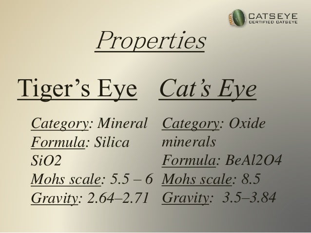 Benefits Of Wearing Cat S Eye Benefits Of Wearing Cat S Eye