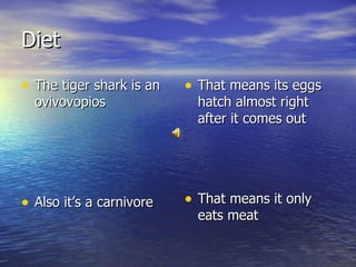 Tiger shark | PPT