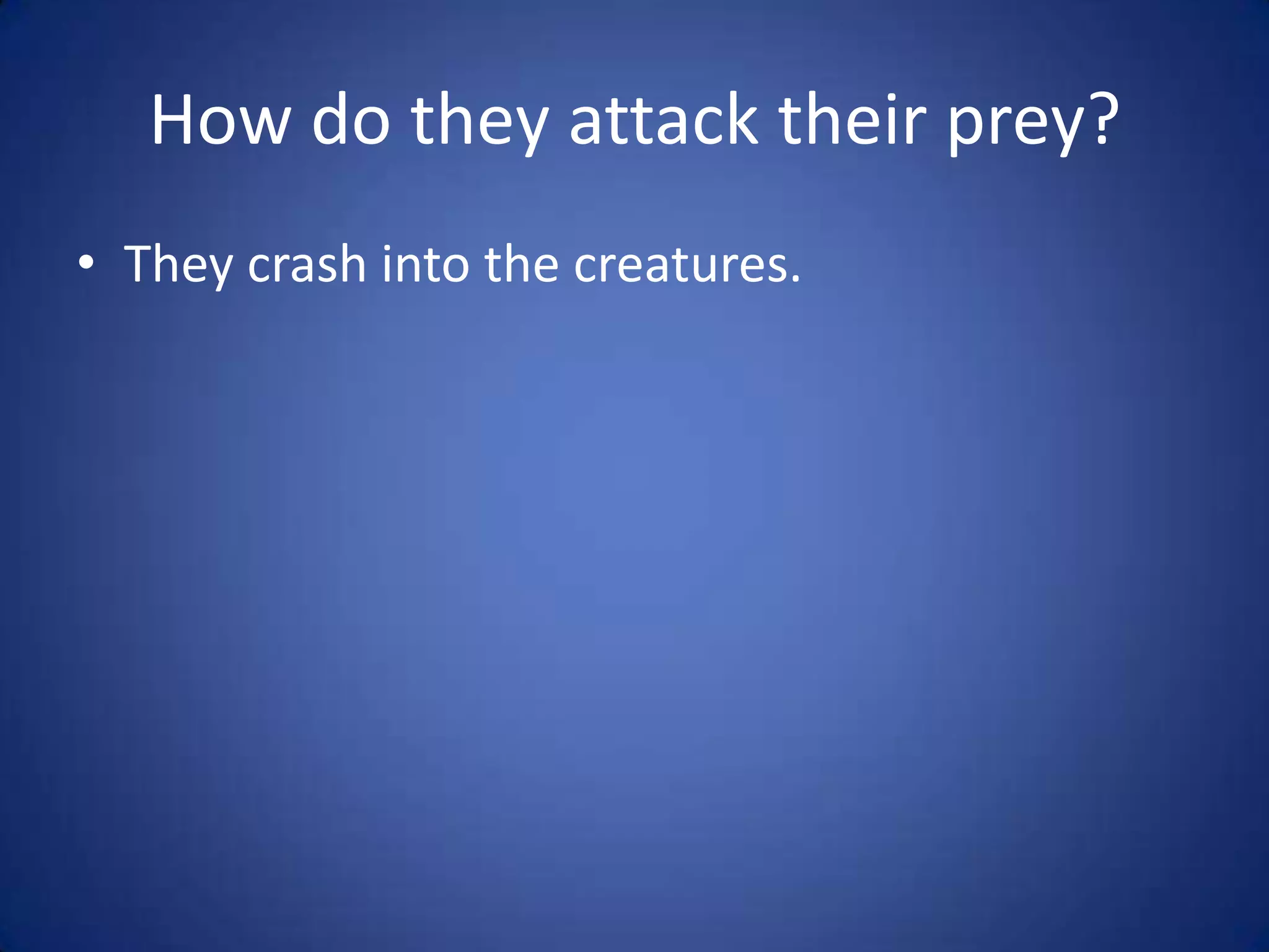 How do they attack their prey?They crash into the creatures.