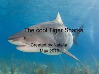 The cool Tiger Sharks Created by Natalia  May 2010 