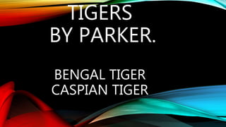 BENGAL TIGER
CASPIAN TIGER
TIGERS
BY PARKER.
 