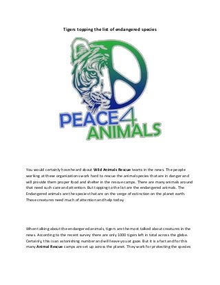 Tigers topping the list of endangered species
You would certainly have heard about Wild Animals Rescue teams in the news. The people
working at these organizations work hard to rescue the animal species that are in danger and
will provide them proper food and shelter in the rescue camps. There are many animals around
that need such care and attention. But topping to the list are the endangered animals. The
Endangered animals are the species that are on the verge of extinction on the planet earth.
These creatures need much of attention and help today.
When talking about the endangered animals, tigers are the most talked about creatures in the
news. According to the recent survey there are only 1000 tigers left in total across the globe.
Certainly, this is an astonishing number and will leave you at gaze. But it is a fact and for this
many Animal Rescue camps are set up across the planet. They work for protecting the species
 