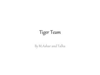 Tiger Team
By M.Ashar and Talha
 