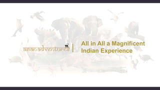 All in All a Magnificent
Indian Experience
 