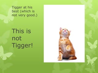 Tigger at his best (which is not very good.)This is not Tigger!