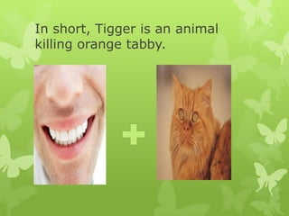 In short, Tigger is an animal killing orange tabby.