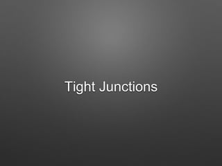 Tight Junctions
 
