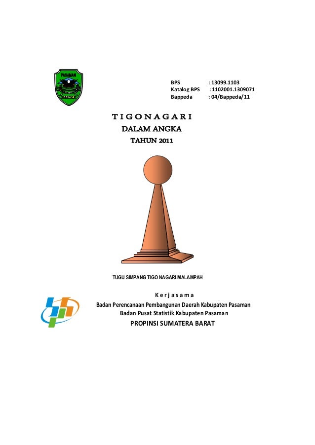 Tigo Nagari 2011<script async src=