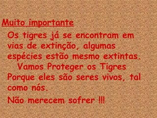 Muito importante   Os tigres já se encontram em vias de extinção, algumas espécies estão mesmo extintas.  Vamos Proteger os Tigres Porque eles são seres vivos, tal como nós.  Não merecem sofrer !!! 