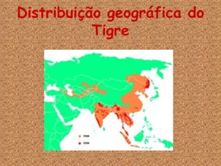 Distribuição geográfica do Tigre 