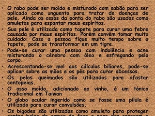 O rabo pode ser moído e misturado com sabão para ser aplicado como unguento para tratar de doenças de pele. Ainda os ossos da ponta do rabo são usados como amuletos para espantar maus espíritos.  Sua pele é utilizada como tapete para curar uma febre causada por maus espíritos. Porém convém tomar muito cuidado: Caso a pessoa fique muito tempo sobre o tapete, pode se transformar em um tigre.  Pode-se curar uma pessoa com indolência e acne misturando o cérebro com óleo e esfregando pelo corpo.  Acrescentando-se mel aos cálculos biliares, pode-se aplicar sobre as mãos e os pés para curar abcessos.  Os pelos queimados são utilizados para afastar centopeias.  O osso moído, adicionado ao vinho, é um tónico tradicional em Taiwan O globo ocular ingerido como se fosse uma pílula é utilizado para curar convulsões.  Os bigodes são utilizados como amuleto para proteger contra balas de armas de fogo e para dar coragem a pessoa.  