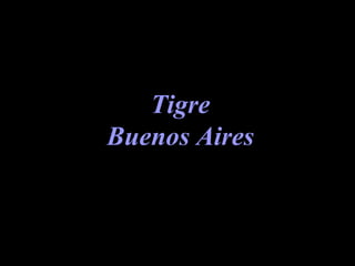 Tigre Buenos Aires 