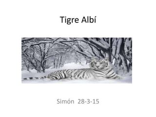 Tigre Albí
Simón 28-3-15
 