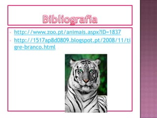  http://www.zoo.pt/animais.aspx?ID=1837
 http://1517ap8d0809.blogspot.pt/2008/11/ti
gre-branco.html
 