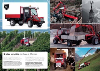 TIGRECAR CC_ITALIANO